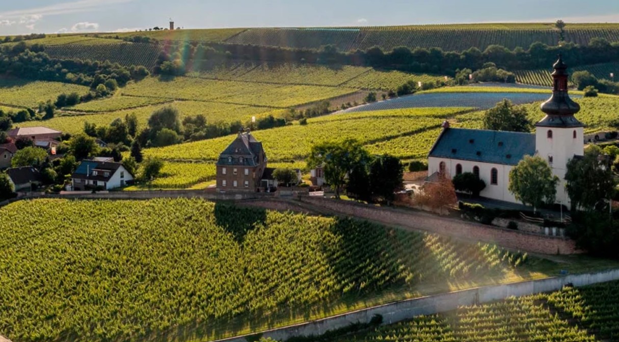 Rheinhessen – Weinbauregion